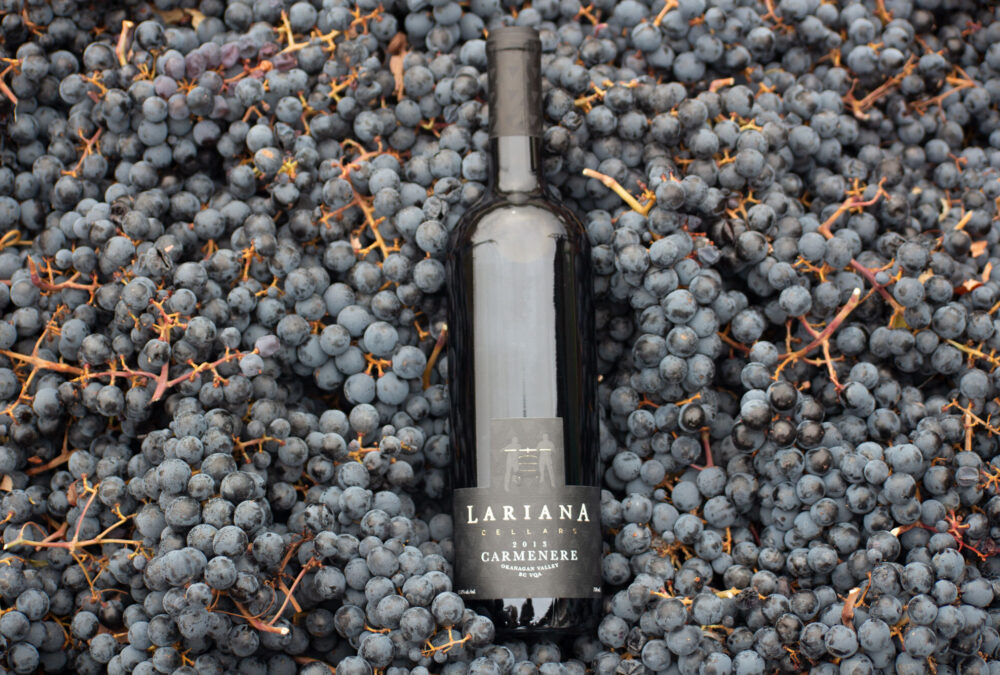 Lariana cellars carmenere bottle in grapes