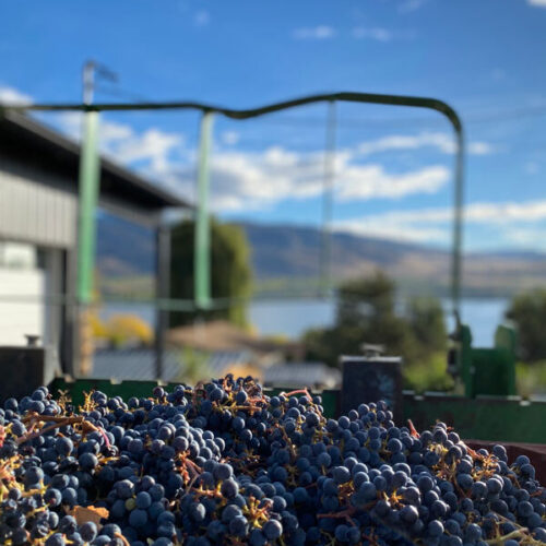 Harvest2020 cab sortingtable